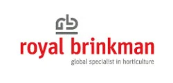 Royal Brinkman